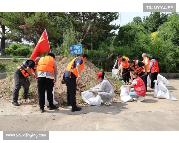 以防线稳固为核心构建坚不可摧的安全防护体系确保全面防御与风险管控